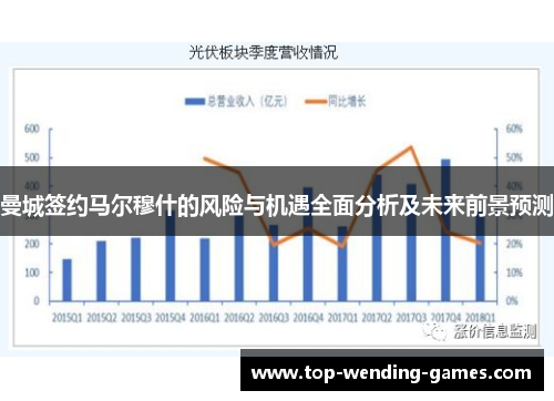 曼城签约马尔穆什的风险与机遇全面分析及未来前景预测