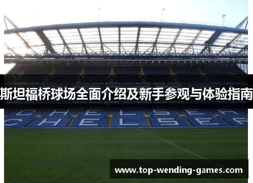 斯坦福桥球场全面介绍及新手参观与体验指南