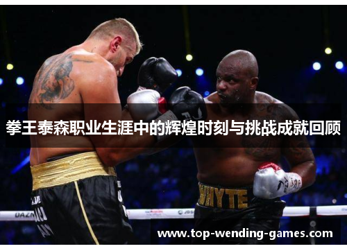 拳王泰森职业生涯中的辉煌时刻与挑战成就回顾