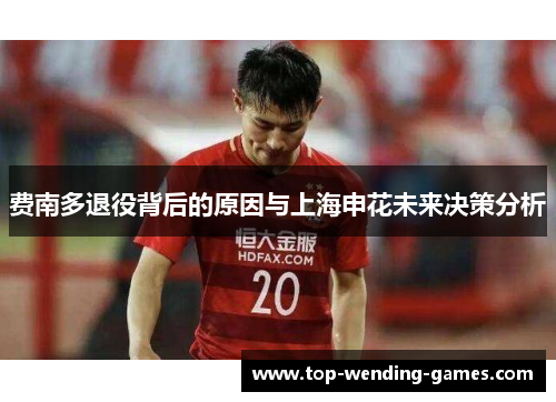 费南多退役背后的原因与上海申花未来决策分析