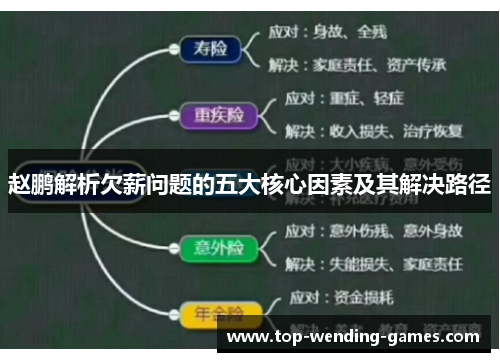 赵鹏解析欠薪问题的五大核心因素及其解决路径
