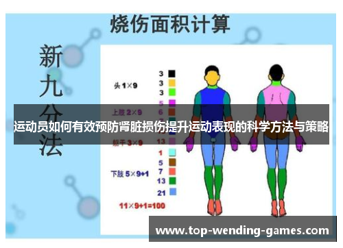 运动员如何有效预防肾脏损伤提升运动表现的科学方法与策略