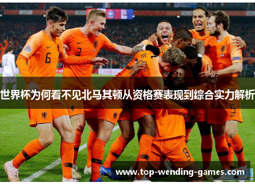 世界杯为何看不见北马其顿从资格赛表现到综合实力解析