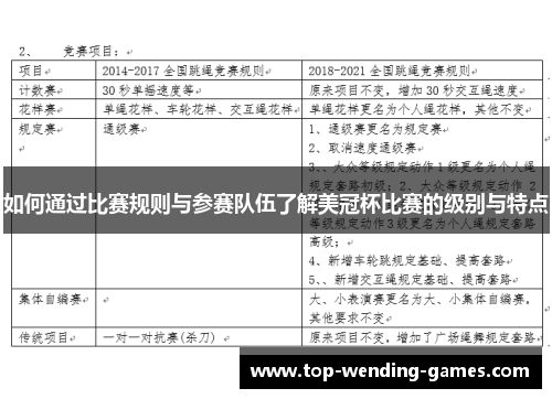 如何通过比赛规则与参赛队伍了解美冠杯比赛的级别与特点