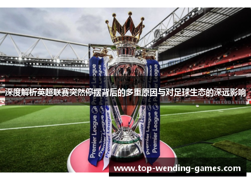 深度解析英超联赛突然停摆背后的多重原因与对足球生态的深远影响 深度解析英超联赛突然停摆背后的多重原因与对足球生态的深远影响